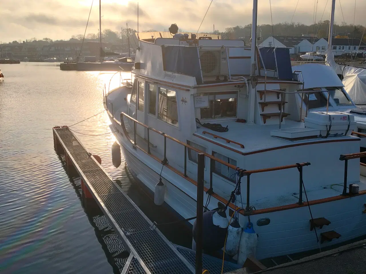 Billede 2 - ISLAND GIPSY 36