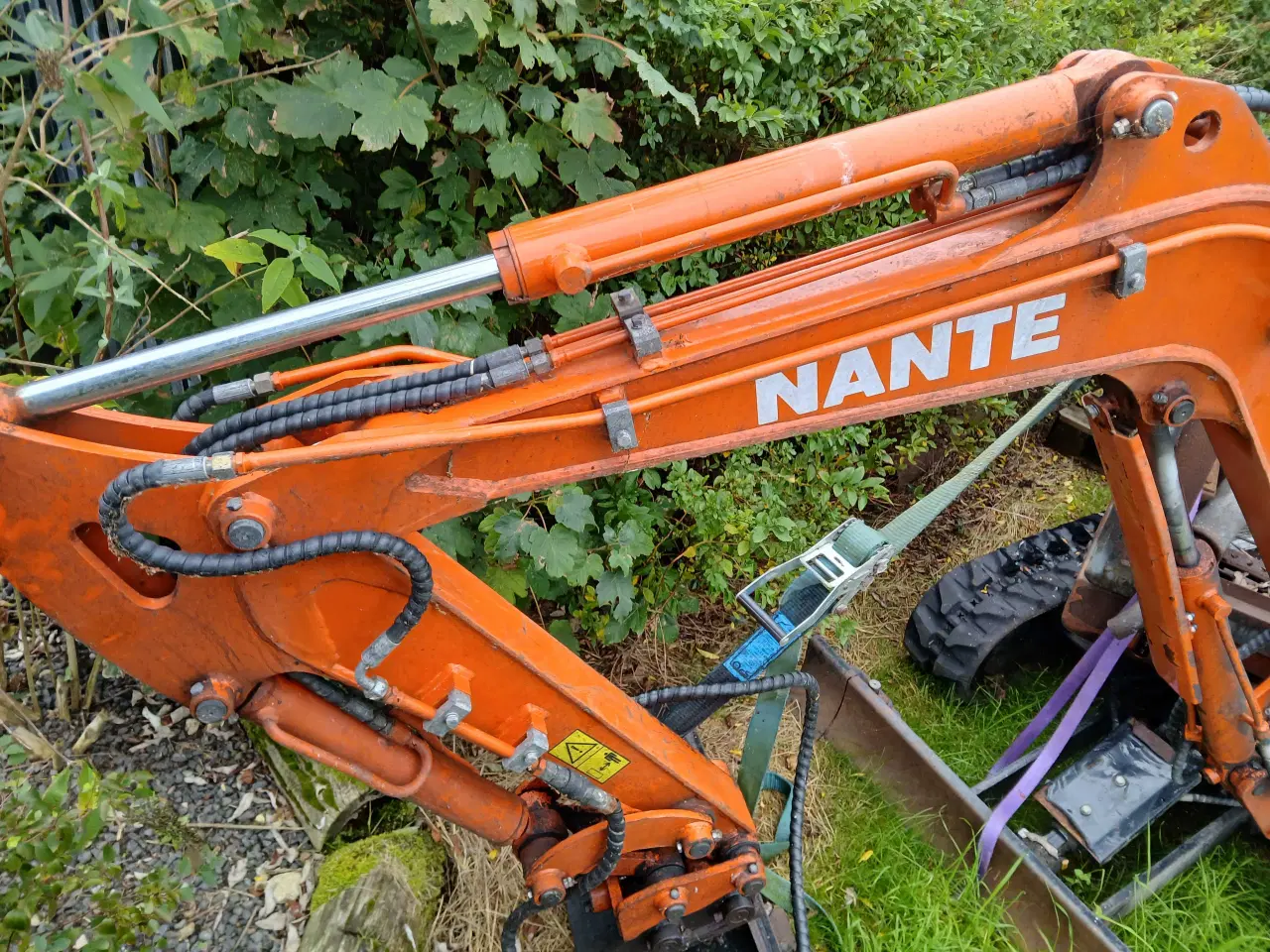 Billede 1 - nante