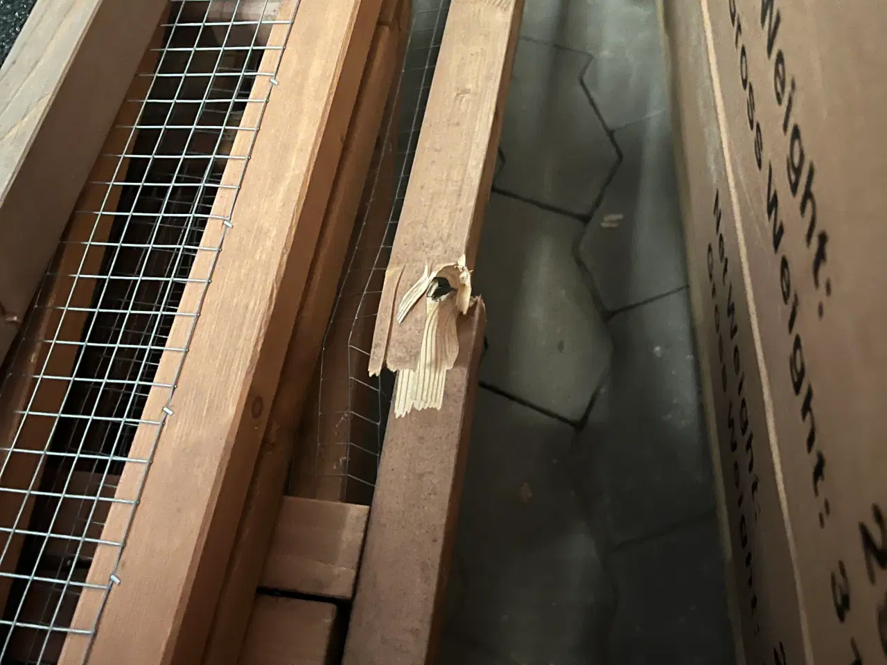 Billede 5 - Hønsehus til handymanden **Transportskadet**