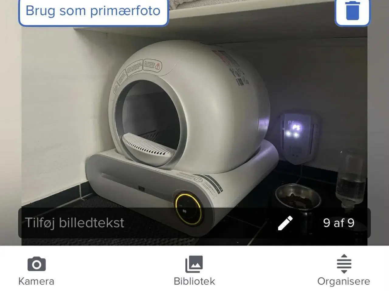 Billede 1 - British shorthair til salg katte