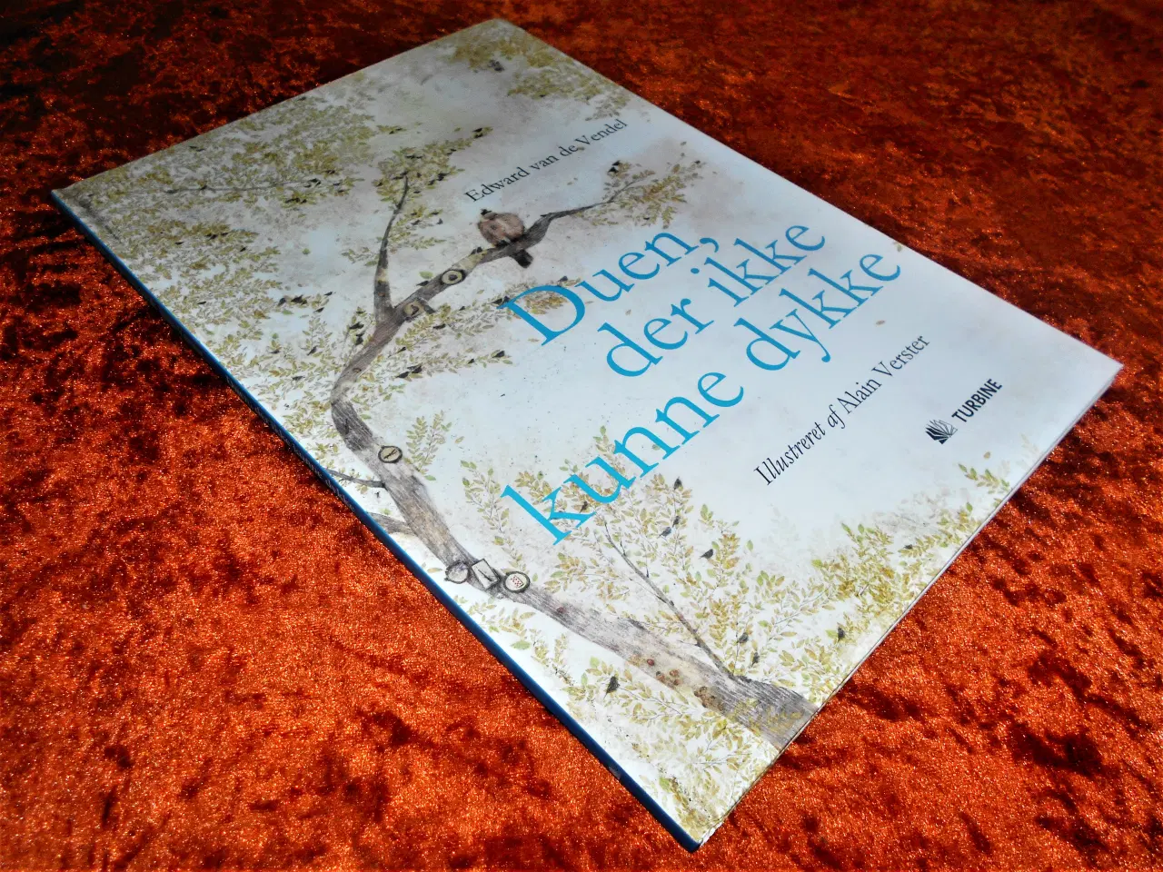 Billede 1 - Duen, der ikke kunne dykke, Edward Van de Vendel