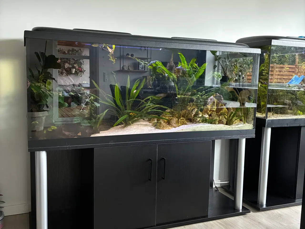 Billede 2 - Akvarier på 450L