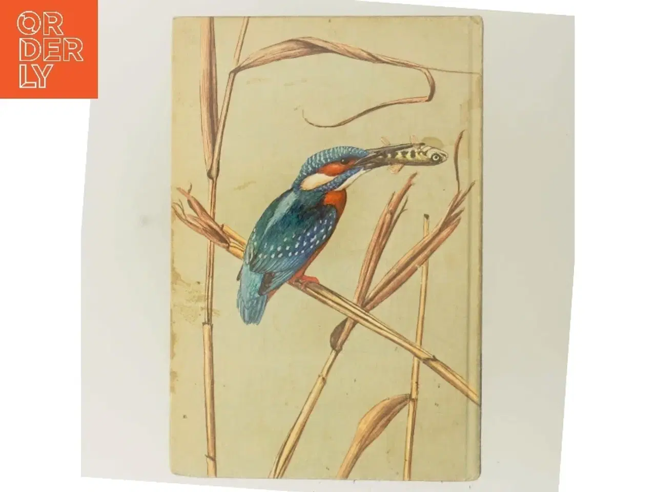 Billede 3 - Fugle fra hav, sø og mose af <Boges forfattere< (Bog)