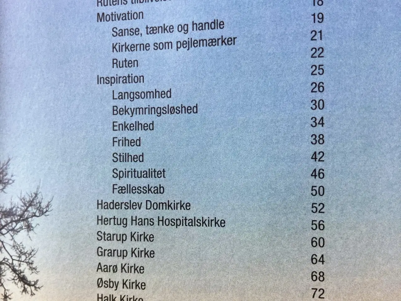 Billede 2 - Pilgrim på Camino Haderslev Næs - undervejs med de