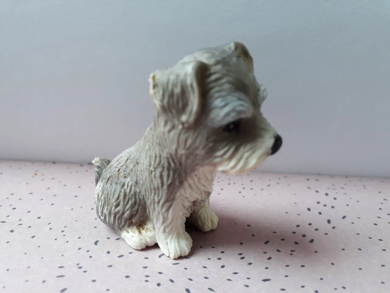 Billede 12 - 5 Hunde og 1 Kanin 