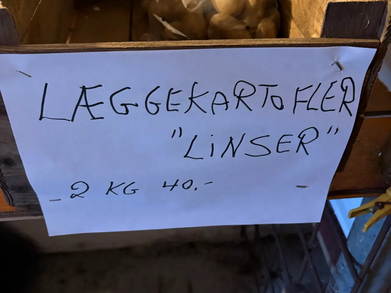 Billede 1 - Læggekartofler