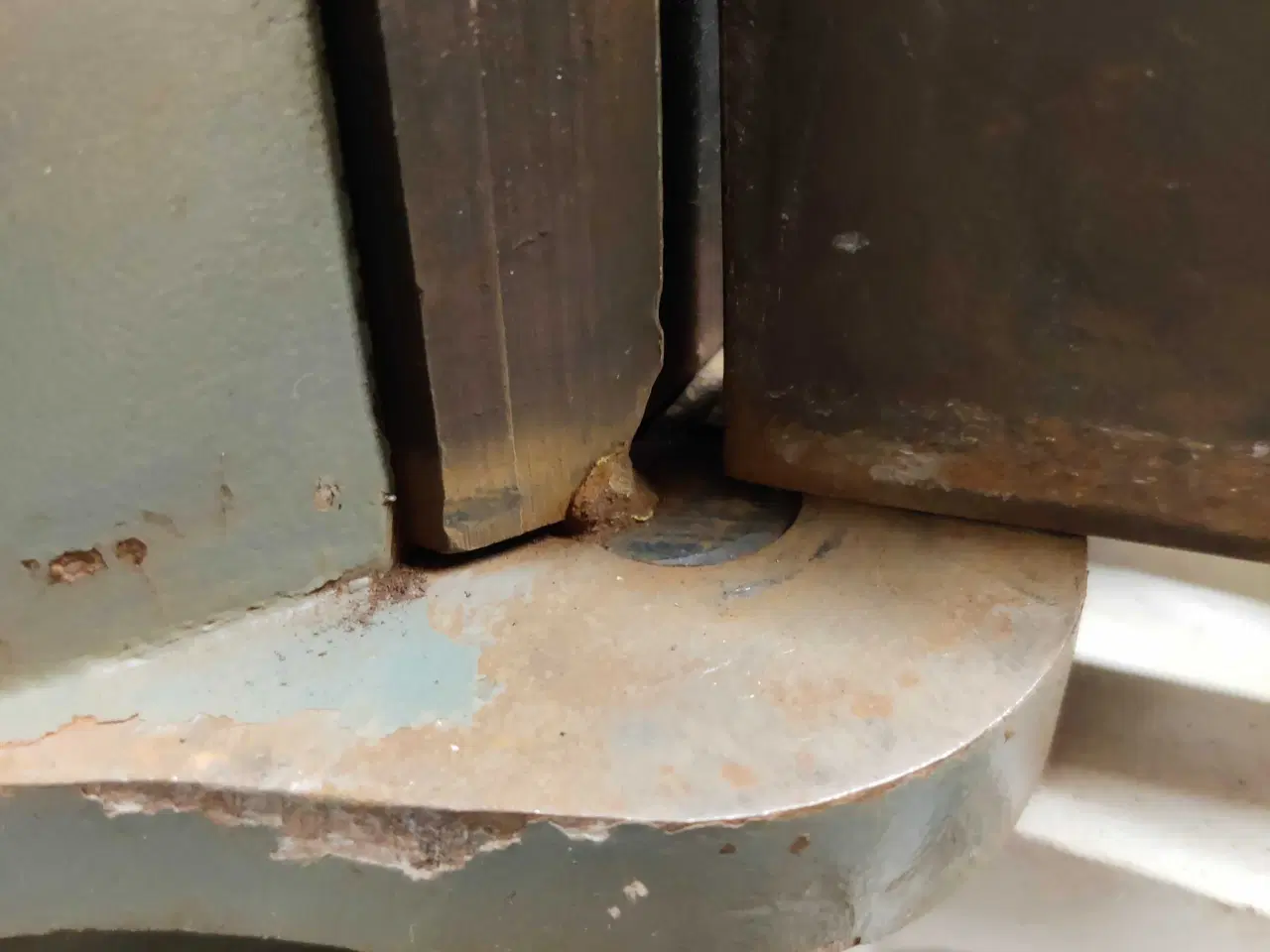 Billede 5 - Fladjerns bukker 