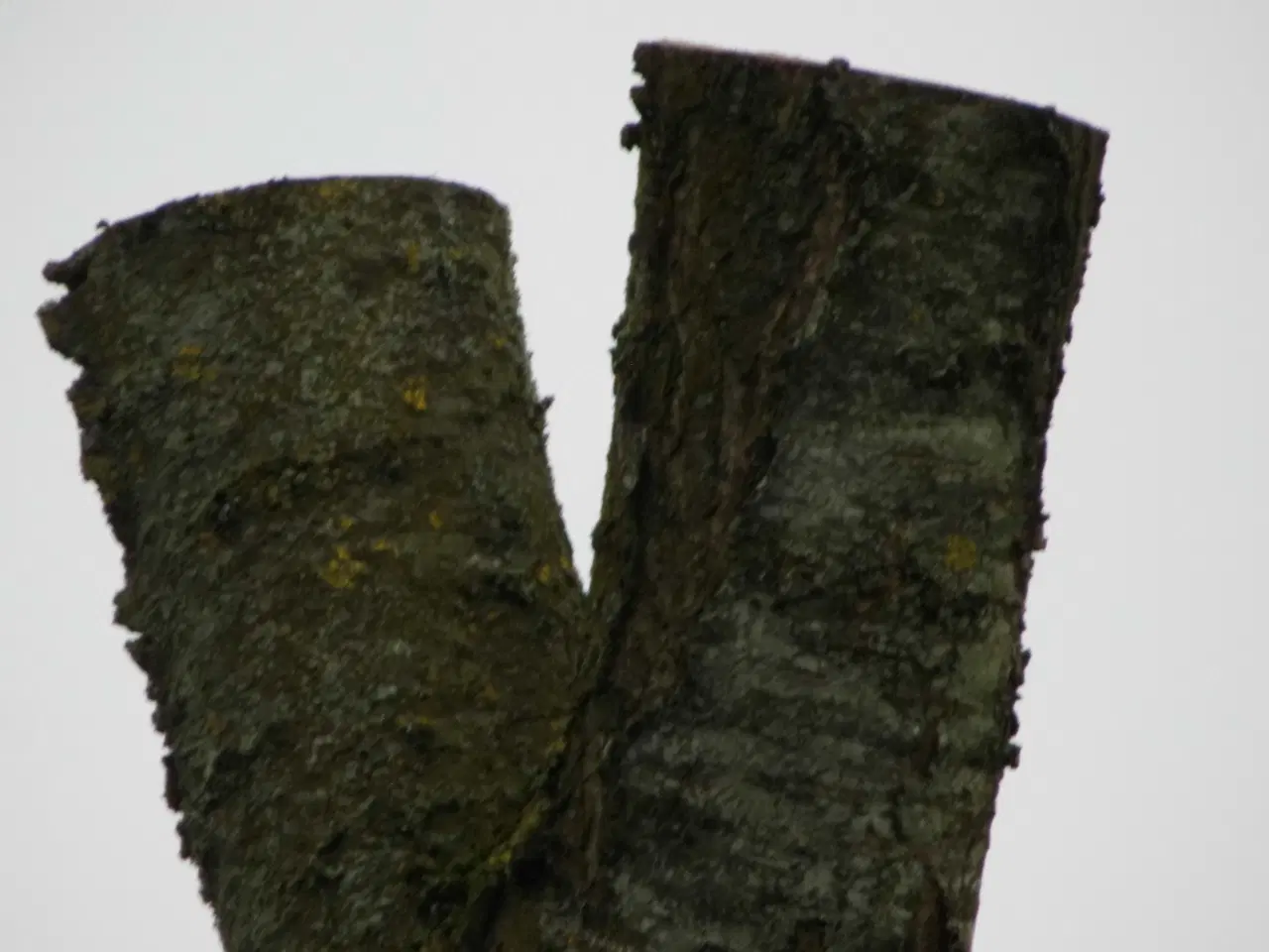 Billede 12 - Medion MD 86929 Digital kamera med 35 x opt. zoom