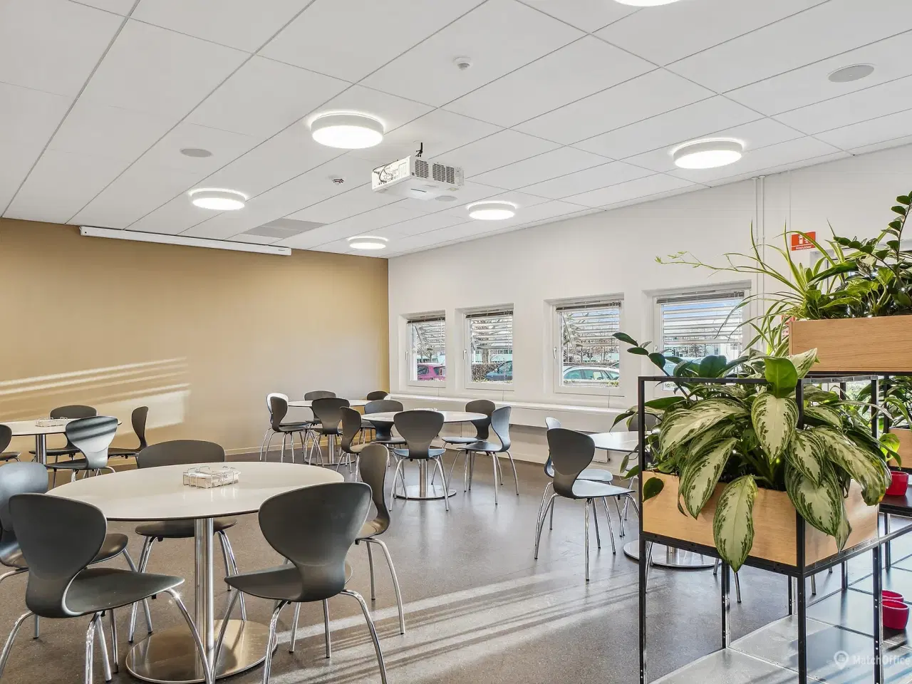 Billede 18 - Lyse og indbydende kontorlokaler med lyse trægulve