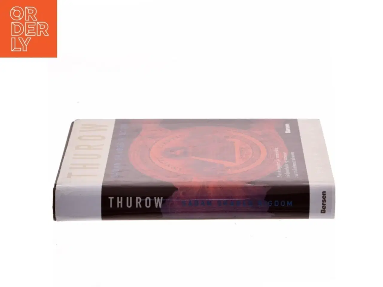 Billede 2 - Sådan skabes rigdom : de nye betingelser for mennesker, virksomheder og nationer i en videnbaseret økonomi af Lester C. Thurow (Bog)