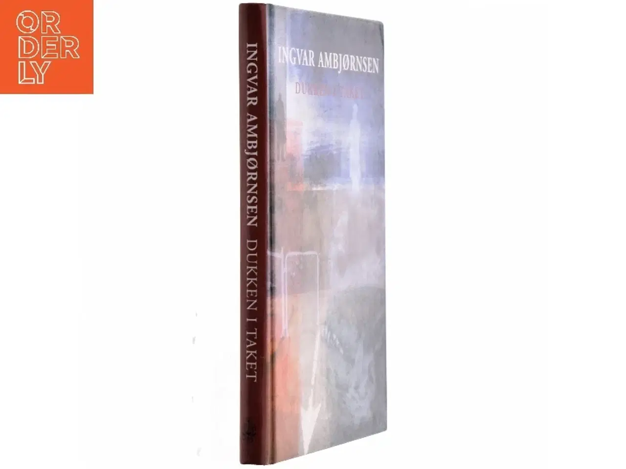 Billede 1 - Dukken i taket by Ingvar Ambjørnsen