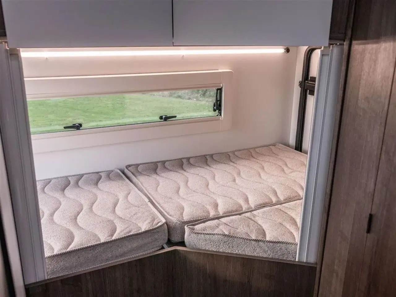 Billede 13 - 2026 - Benimar Tessoro 483