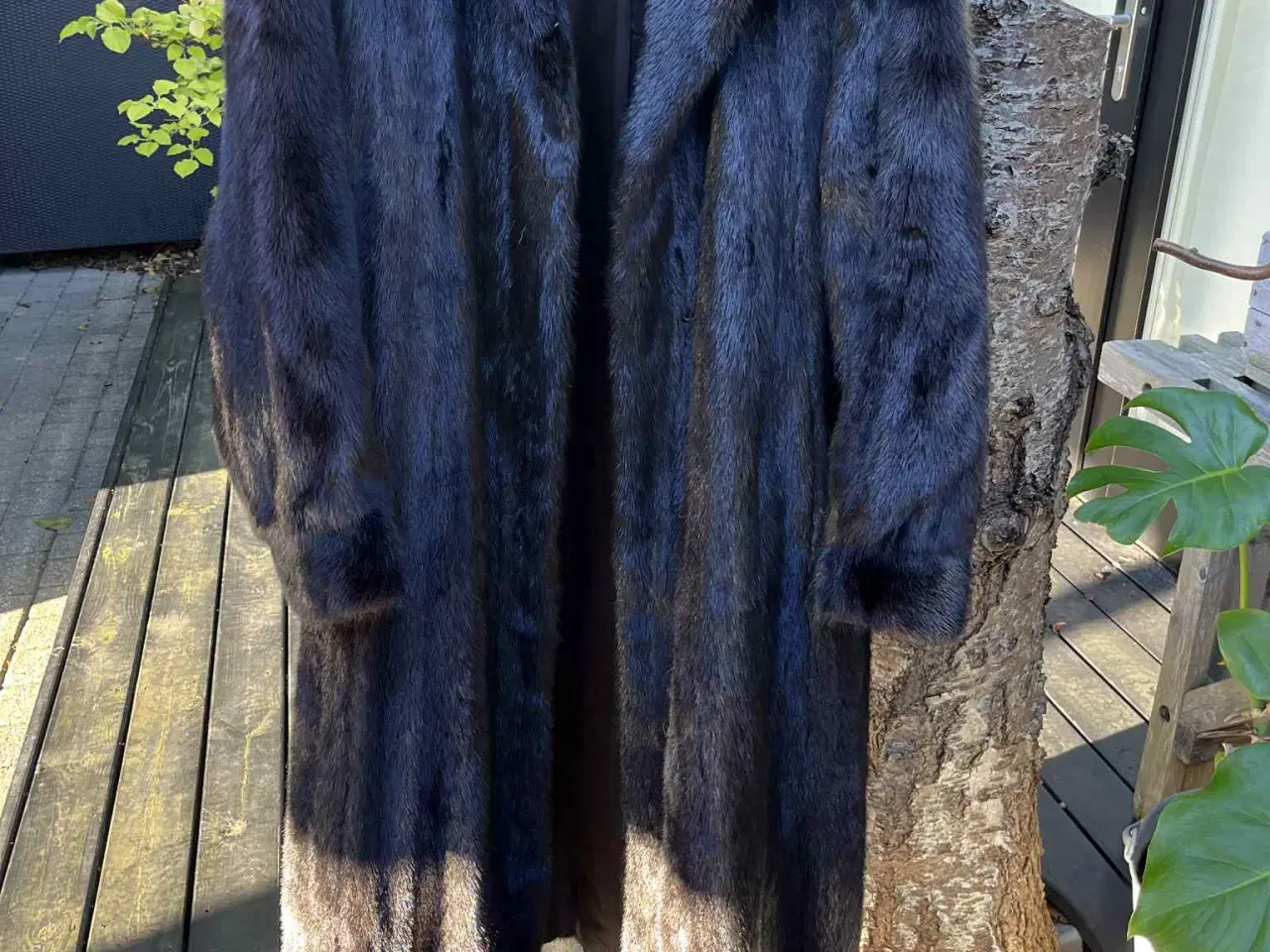 Billede 1 - Saga mink