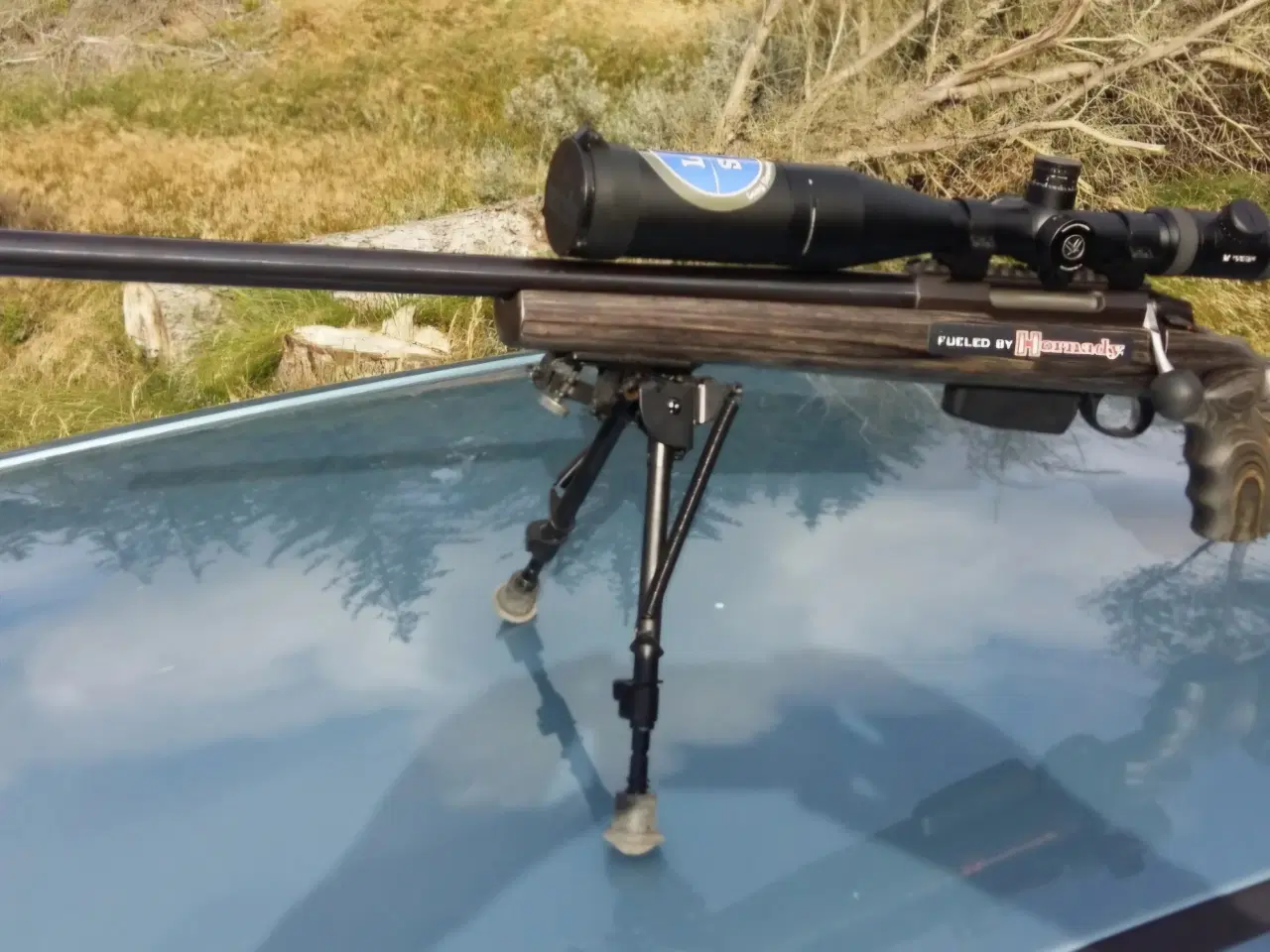 Billede 2 - Tikka T3 Varmint Links 