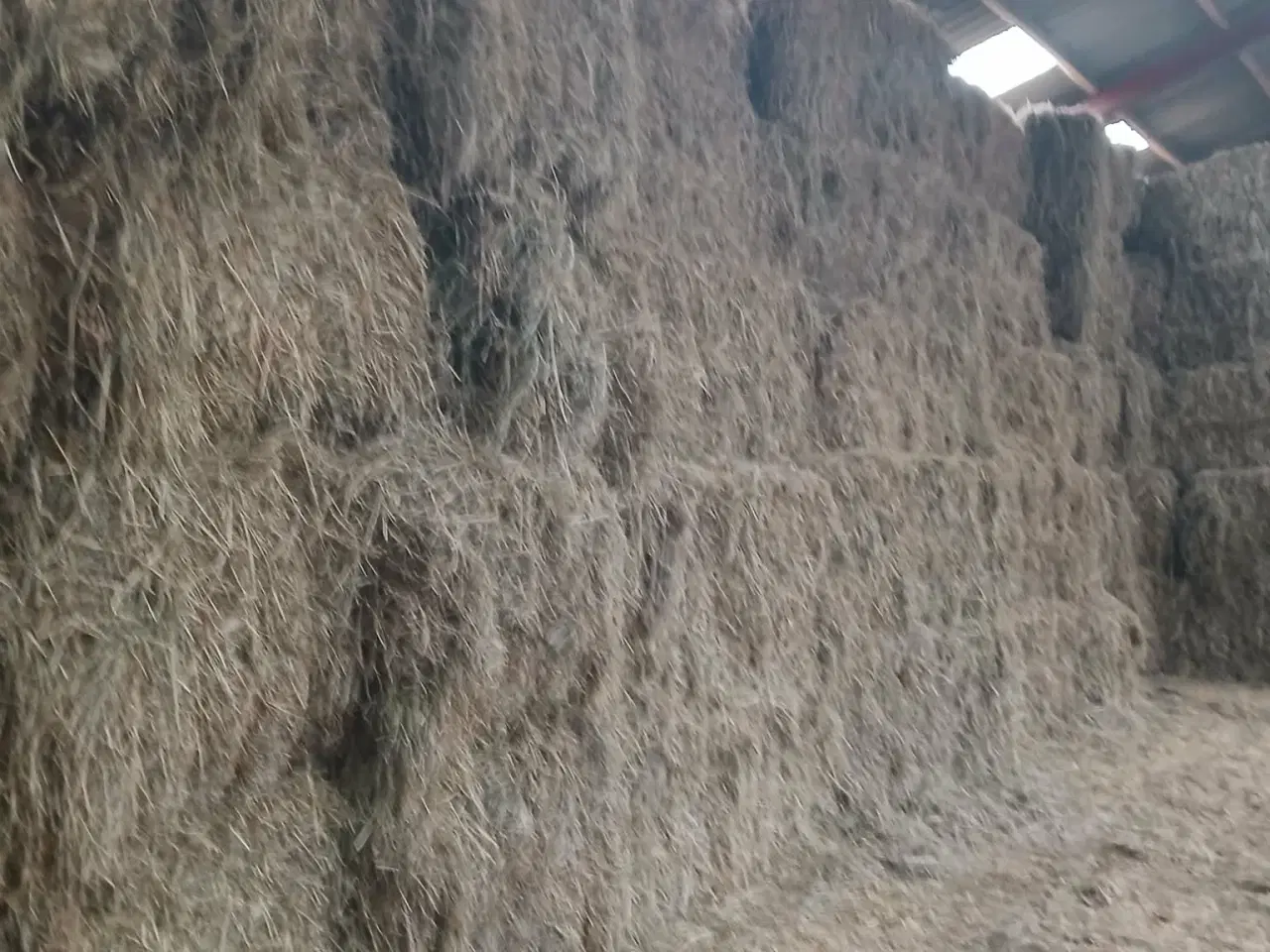 Billede 1 - Prima eng hø sælges i 80X90X180cm baller, fra 2025