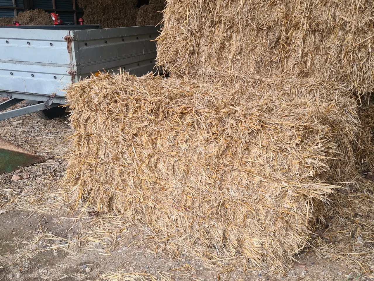 Billede 2 - MiniBig HalmBaller ca 150-180 kg