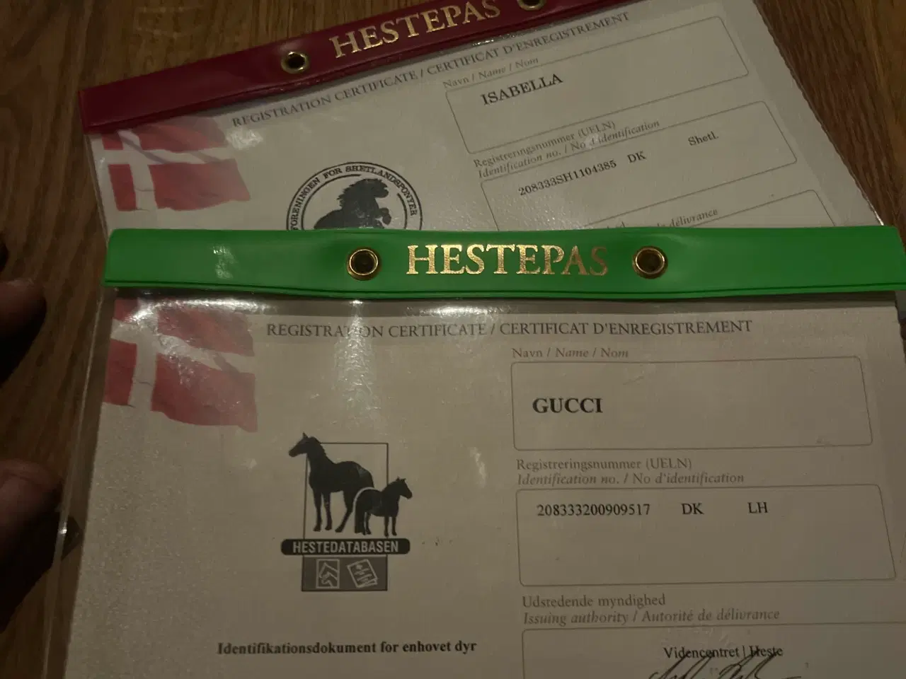 Billede 4 - 2 stk sjætlandpnnyer