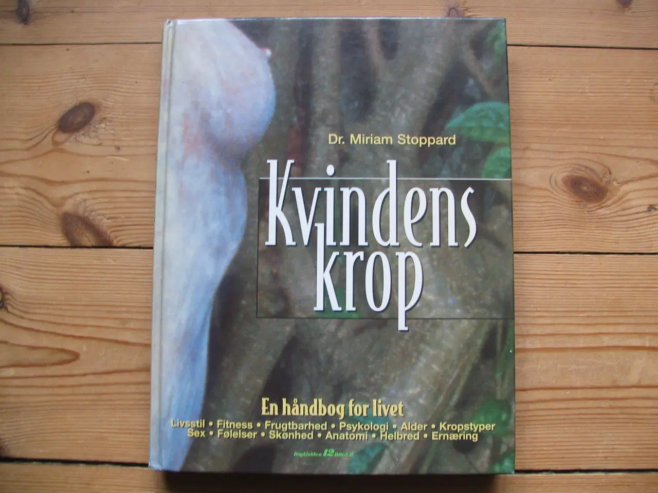 Billede 1 - Kvindens krop