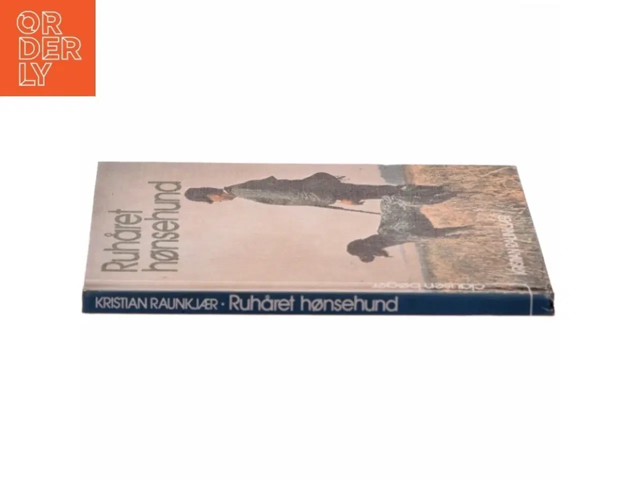 Billede 2 - Rughåret hømsehund fra Gyldendal