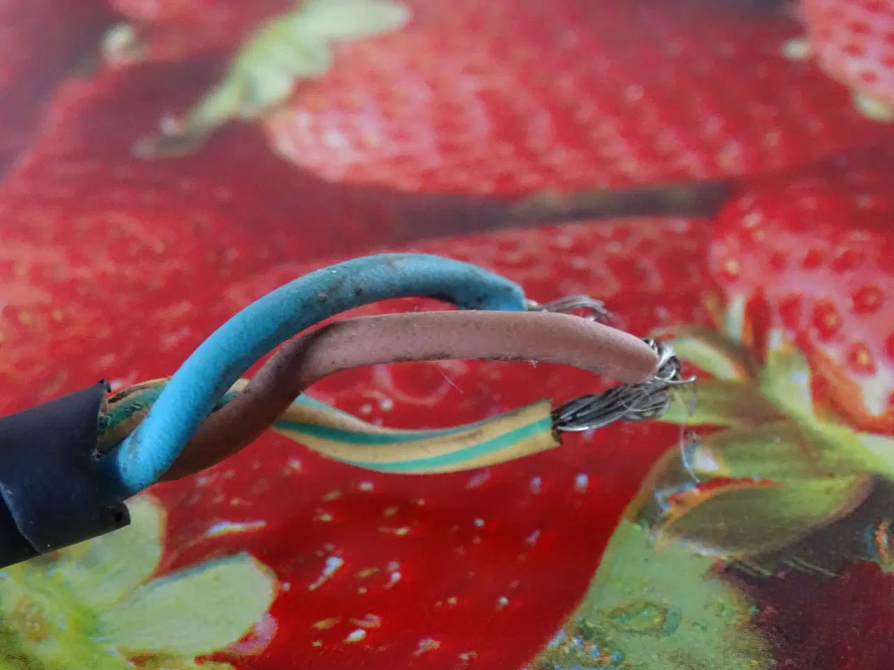 Billede 4 - Frostfrit