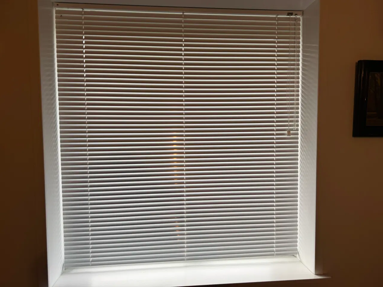 Billede 1 - Persienner, hvide til vinduer og dør