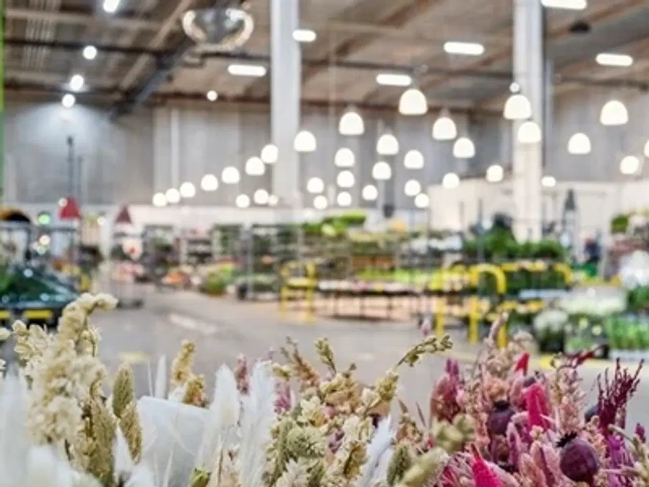 Billede 1 - Der er mange grunde til at sælge dine råvarer på Copenhagen Markets. Heraf kan nævnes: Du kan sælge mere Du kan s...