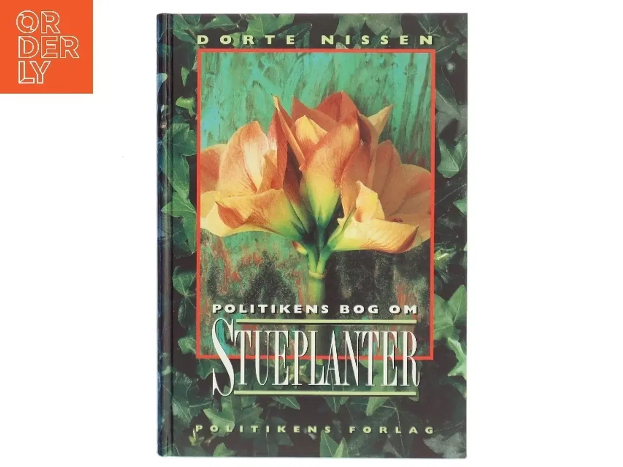 Billede 1 - Politikens Bog om Stueplanter af Dorte Nissen (Bog)
