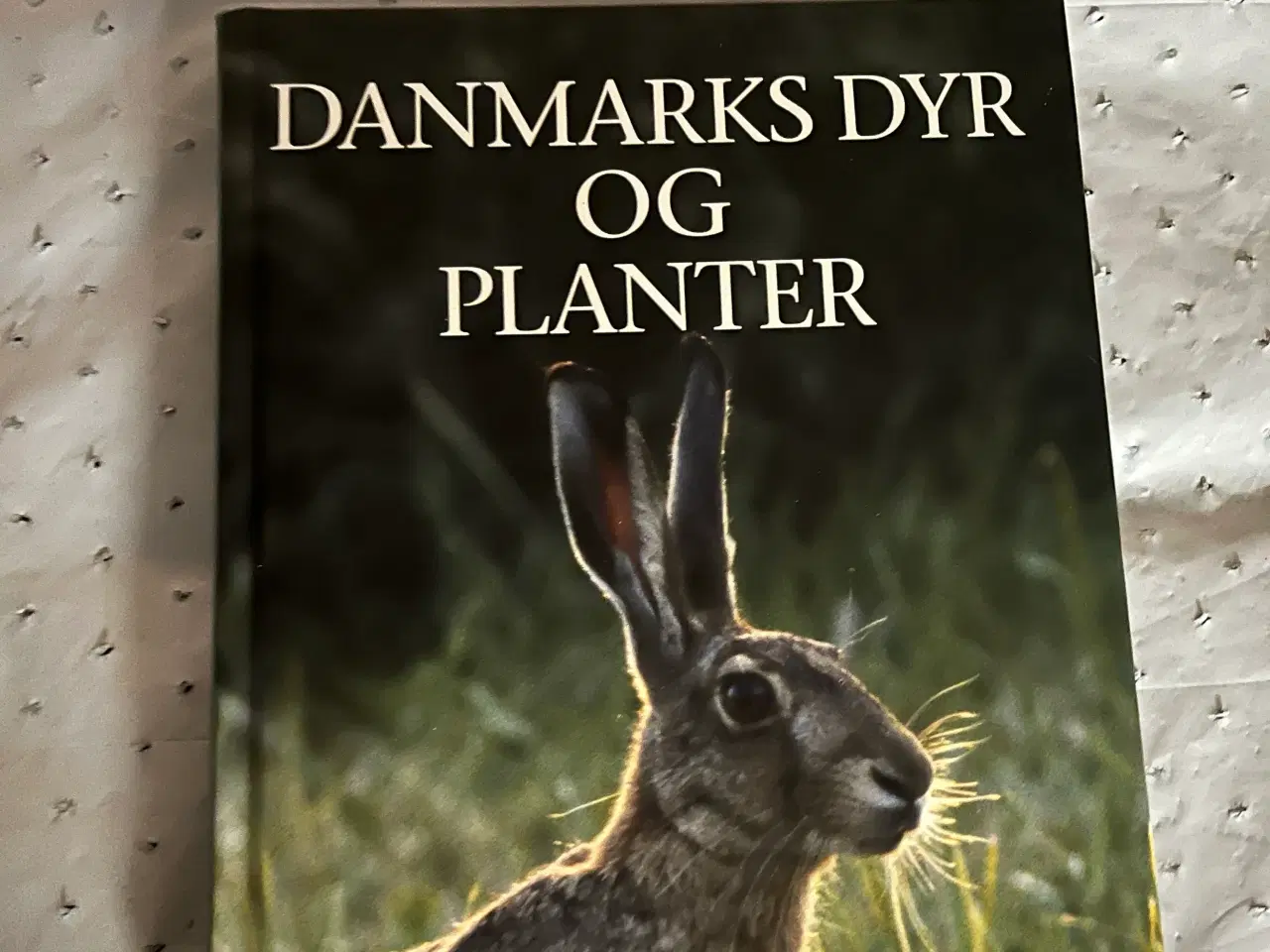Billede 1 - Danmarks dyr og planter