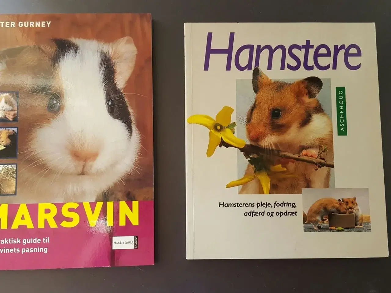 Billede 4 - Forskellige dyrebøger sælges
