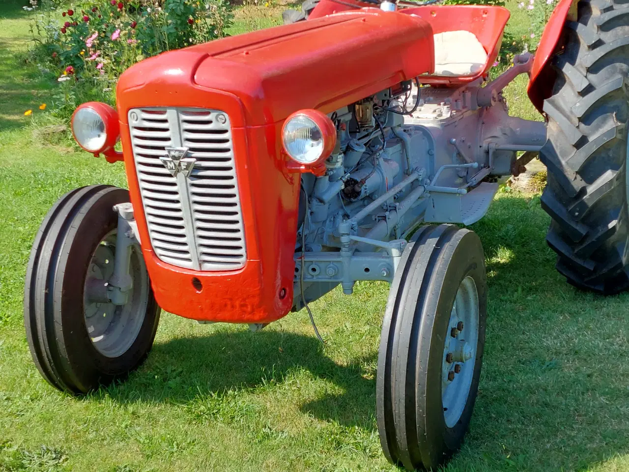 Billede 3 - Massey Ferguson 35  (benzin)