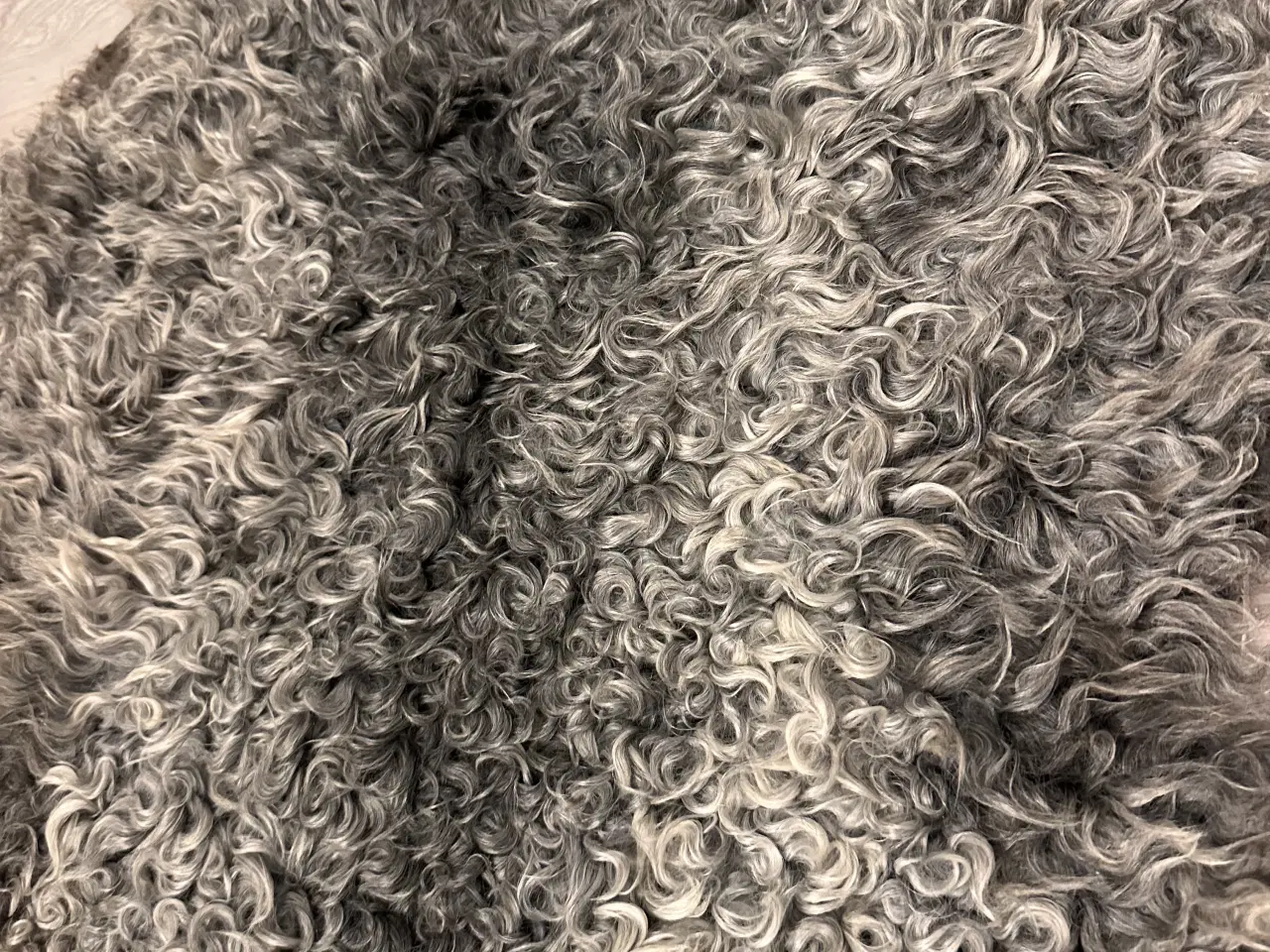 Billede 4 - Helt nyt Gotlandsk lammeskind