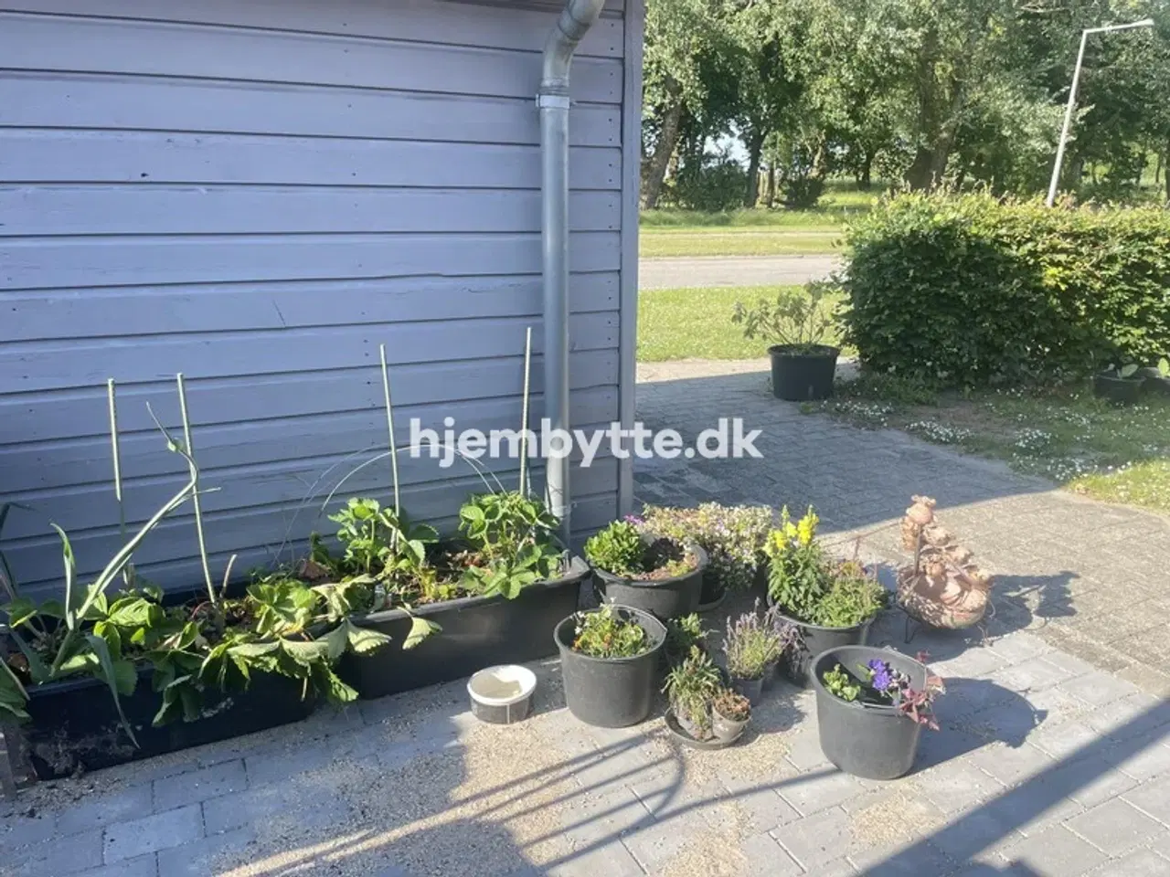 Billede 3 - Hjembytte - ViggoLundsVej