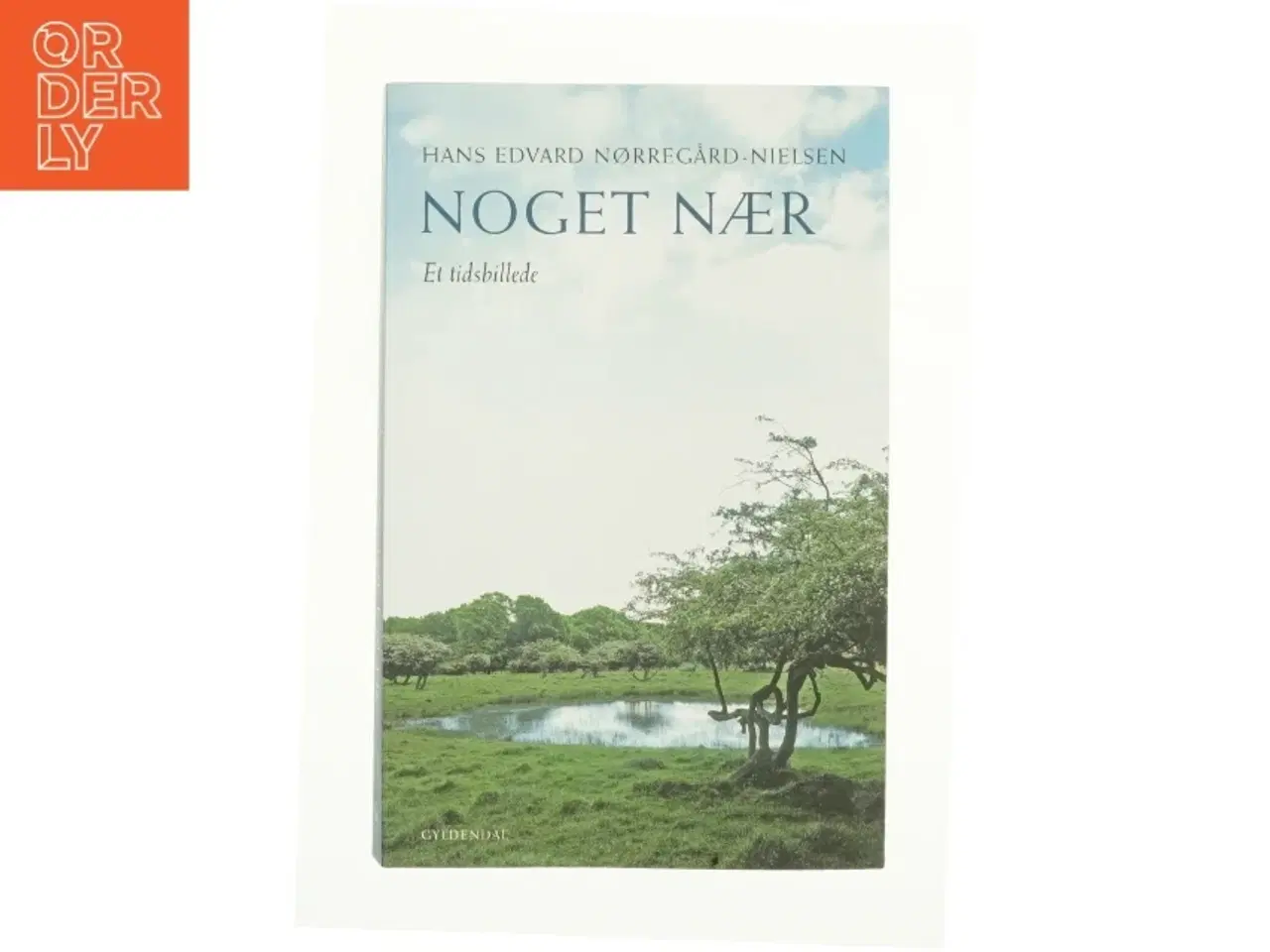 Billede 1 - Noget nær af Hans Edvard Nørregård-Nielsen (Bog)