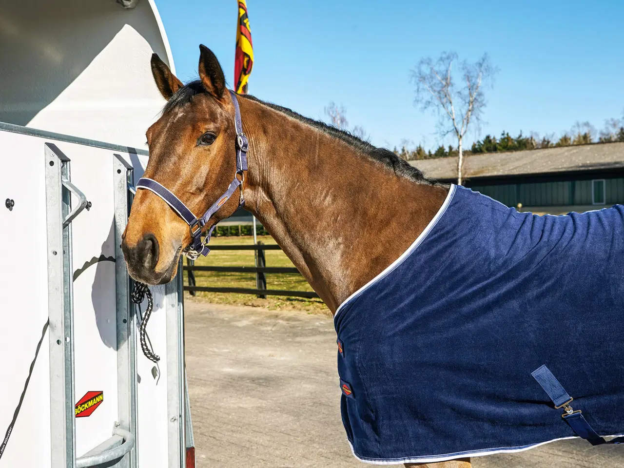 Billede 21 - Böckmann Grand Master SKA