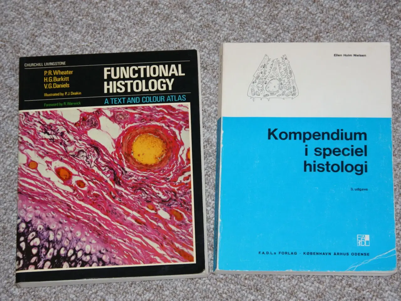 Billede 1 - Kompendium i speciel histologi