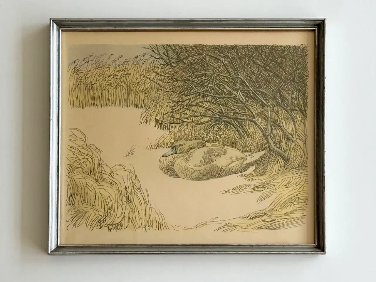 Billede 1 - Johannes Larsen, svane i sne