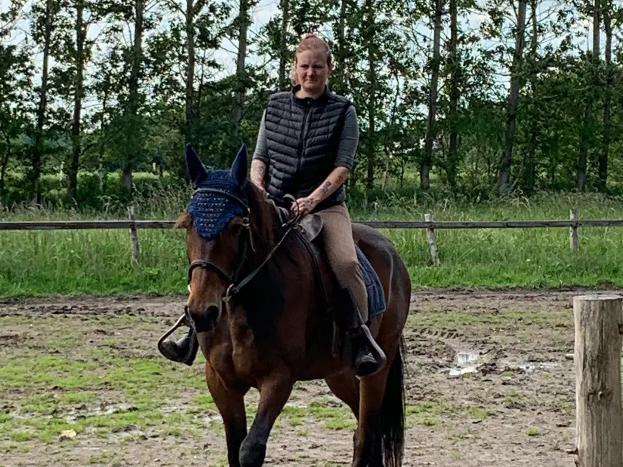 Billede 1 - Hest til køb – et blivende hjem med hjertet på ret