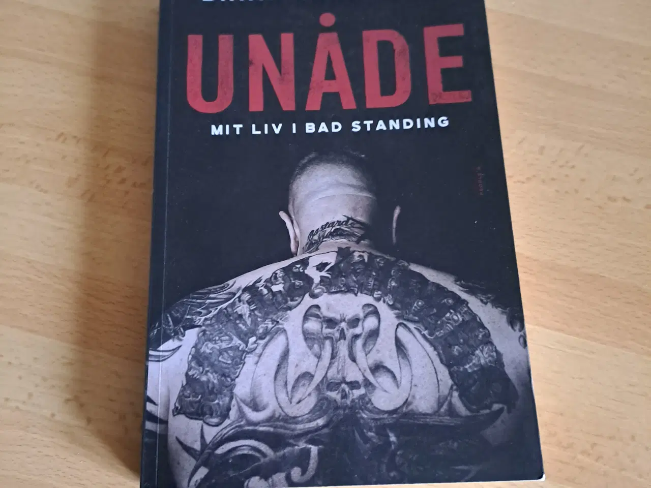 Billede 6 - Rocker bøger m.fl. sælges.