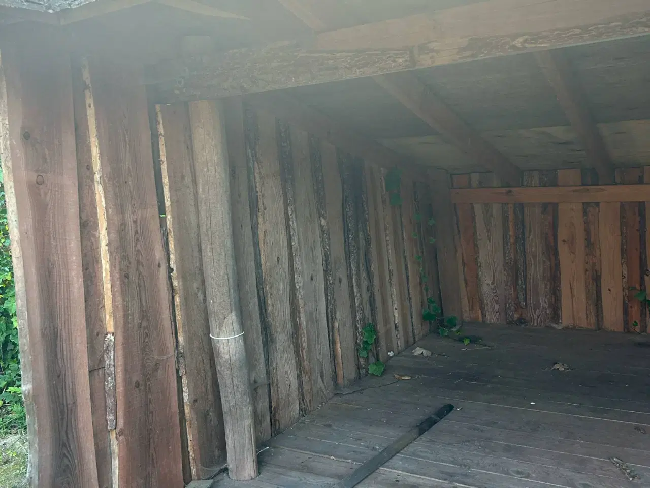 Billede 5 - Shelter