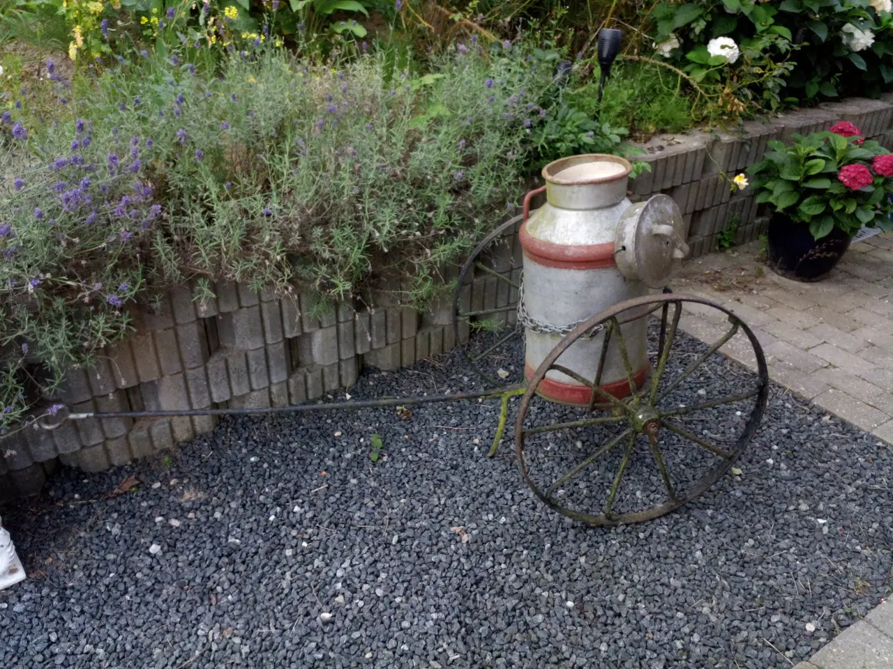 Billede 1 - Vogn til mælkejunge.