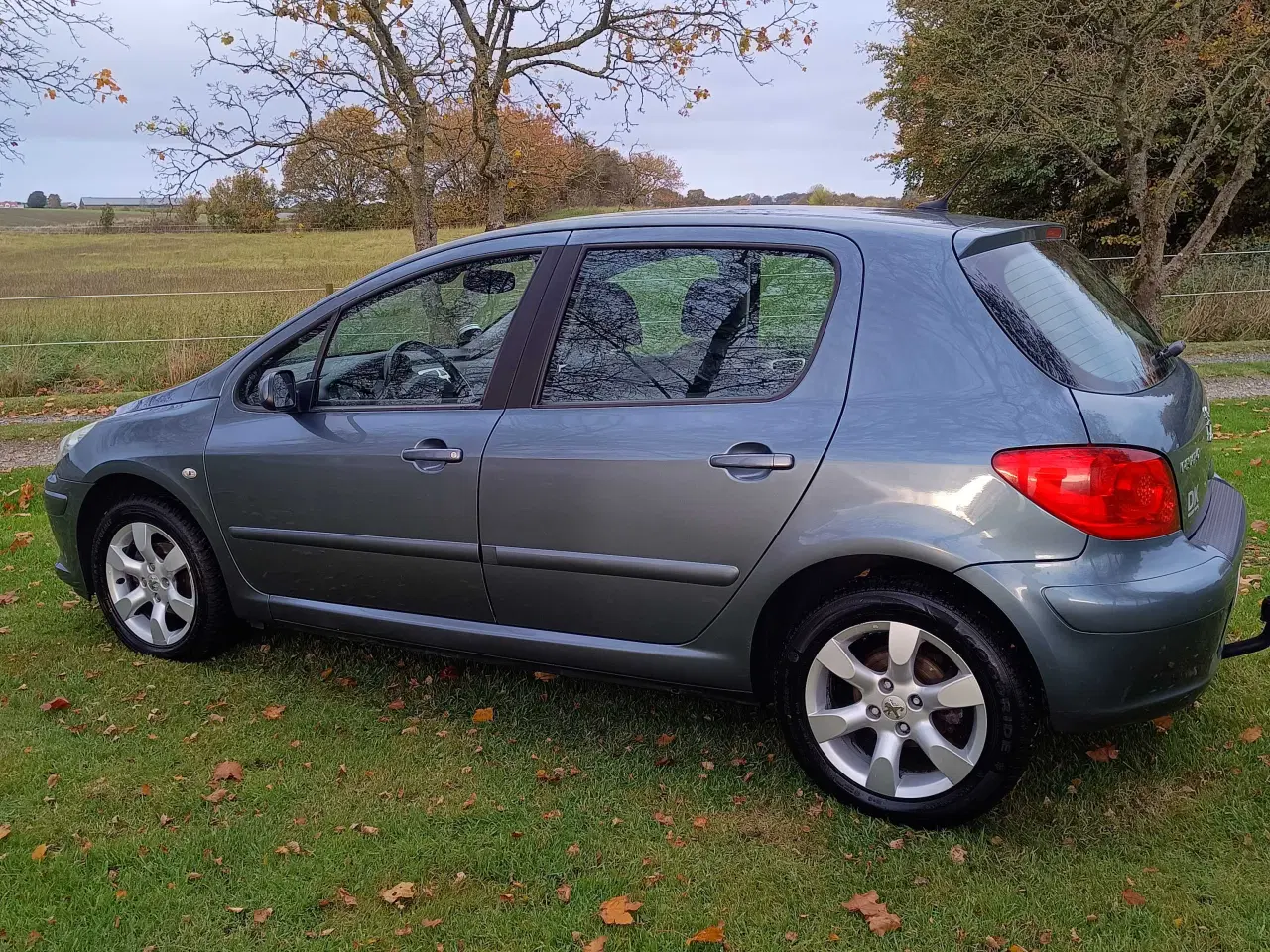 Billede 2 - Peugeot 307 1.6i Benzin