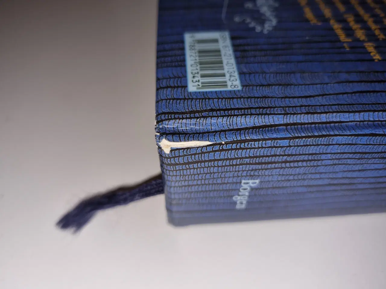 Billede 7 - Walter Moers - Kaptajn Blåbjørns 13 1/2 liv