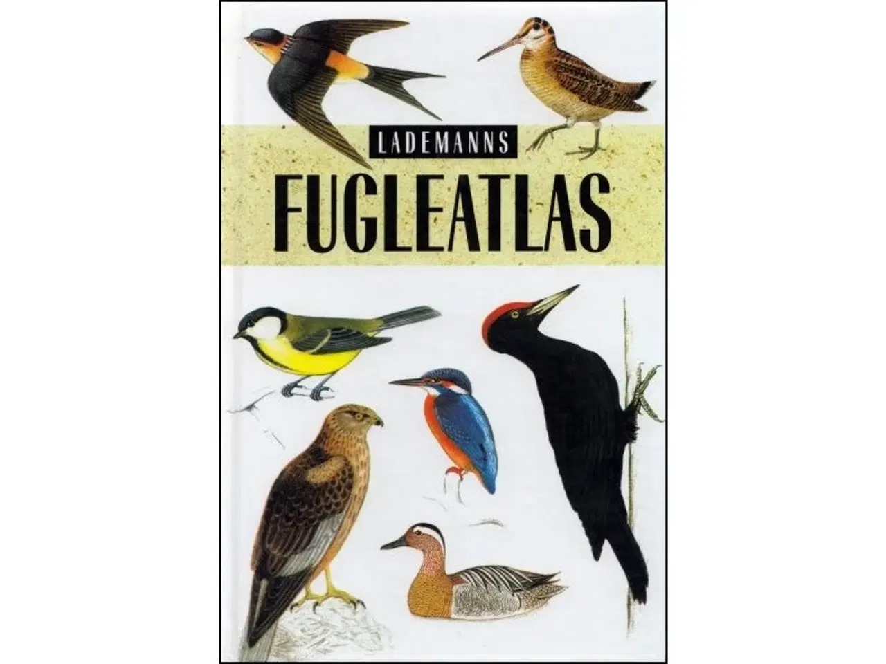 Billede 12 - Fugle - 17 Bøger fra 40 kr.