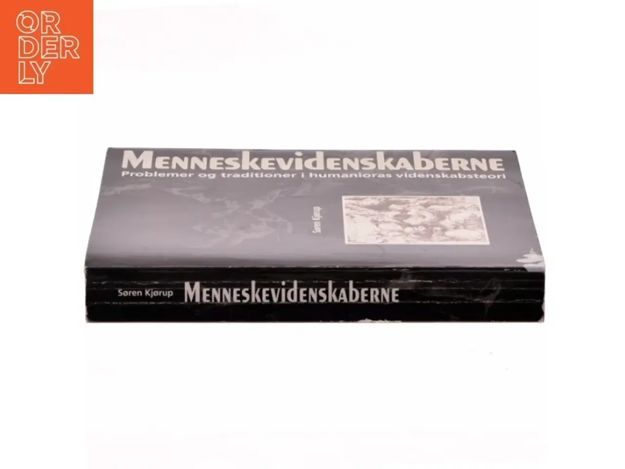 Billede 2 - Menneskevidenskaberne : problemer og traditioner i humanioras videnskabsteori af Søren Kjørup (Bog)