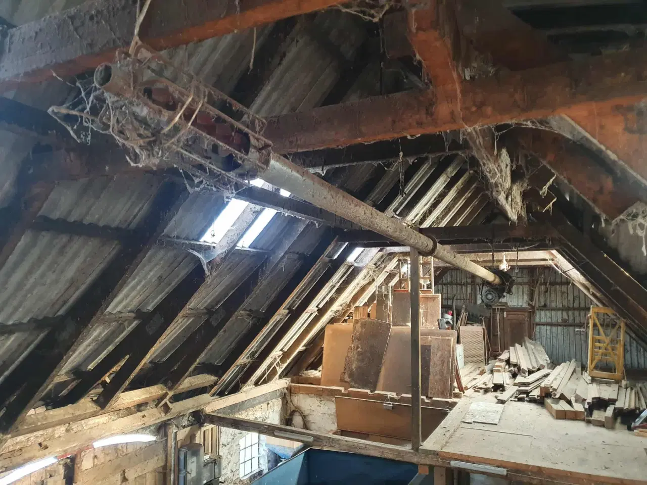 Billede 2 - God kornsnegl 5 meter