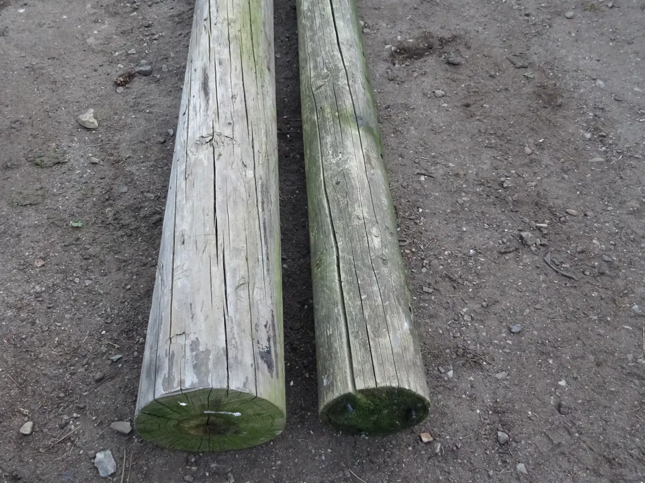 Billede 2 - Telefonpæle 2 stk på 225cm og 245cm lange