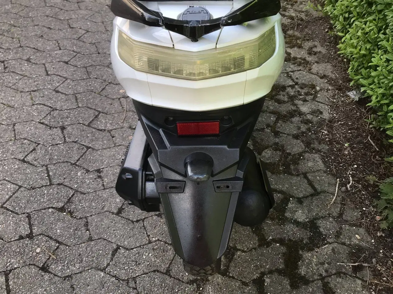 Billede 4 - Vga Explora euro 4 30km/t  Fra 2018 1 ejer 