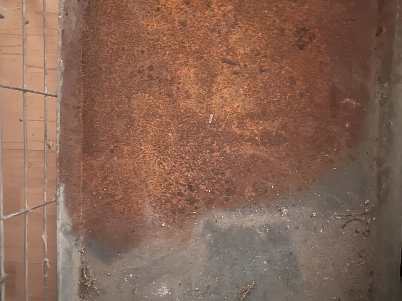 Billede 3 - Stort Hundebur foldbart, kraftigt 