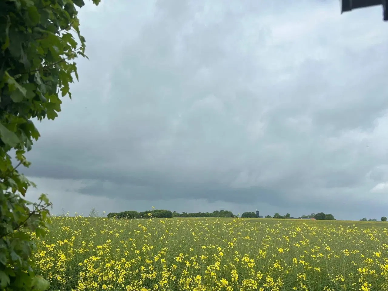Billede 10 - Kolonihave til salg, Randers NV - Bjergbyparken