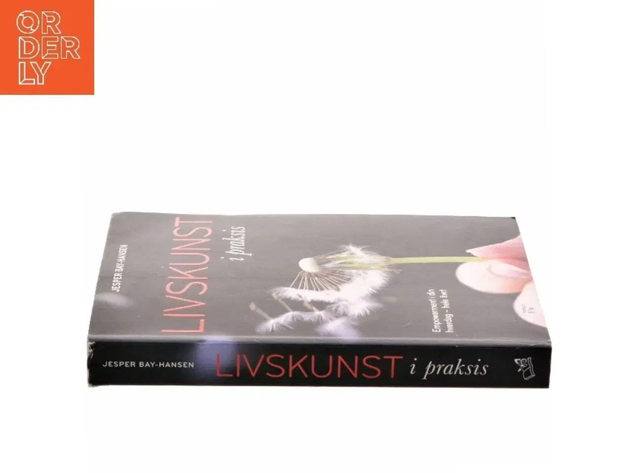Billede 2 - Livskunst i praksis : empowerment i din hverdag - hele livet af Jesper Bay-Hansen (Bog)